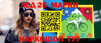 стаф Пенза