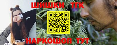 стаф Пенза