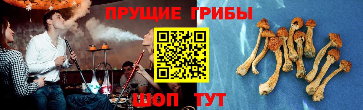 Асино  Псилоцибиновые грибы MAGIC MUSHROOMS  Вход с VPN  Галлюциногенные грибы ЛСД 