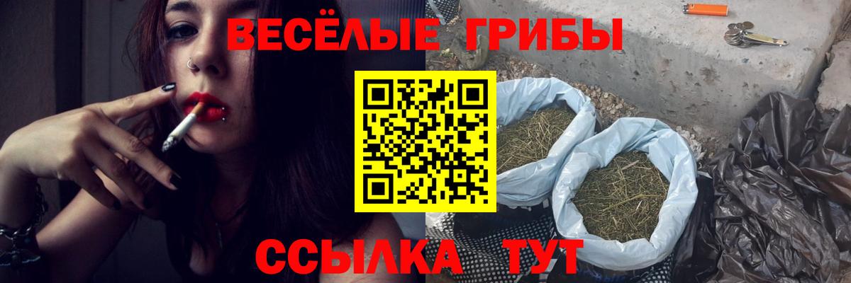 Псилоцибиновые грибы прущие грибы Асино
